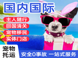 河东航空托运国际宠物托运 【国